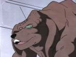 Moguls dog-Bio.jpg