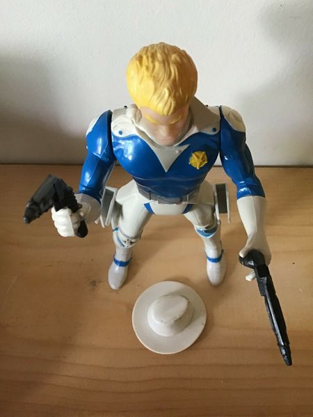 File:Goose ebay 202006 07.jpg